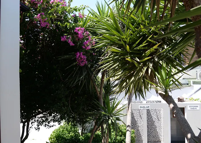 Hotel Amfora