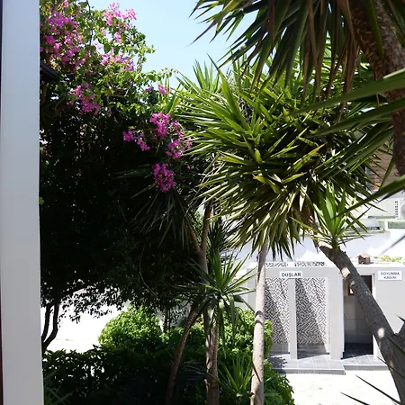Hotel Amfora